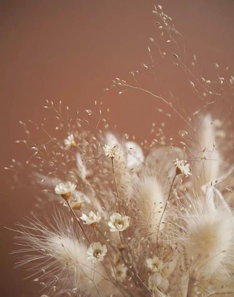 Bouquet de fleurs séchées, ambiance douce de l'atelier